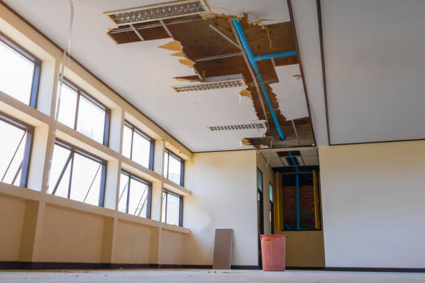 Best Flooded house restoration  in West Sacramento, CA