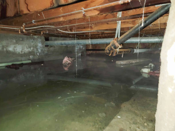 Best Basement water damage restoration  in West Sacramento, CA