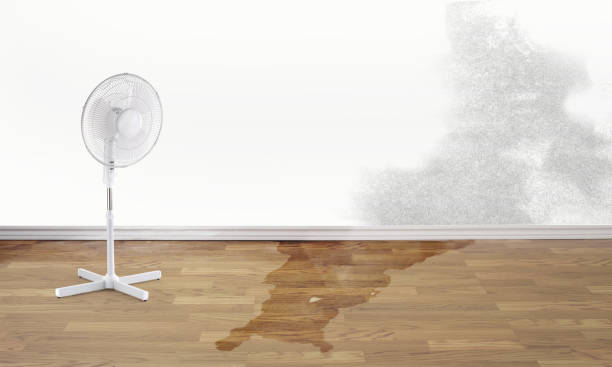Best Water damage restoration process  in West Sacramento, CA