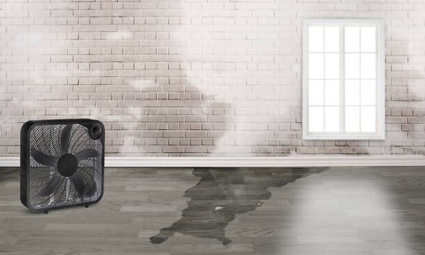 Best Water damage contractors near me  in West Sacramento, CA