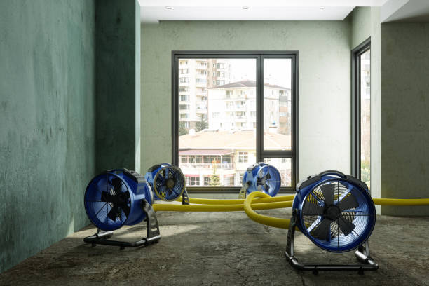 Best Water damage restoration near me  in West Sacramento, CA