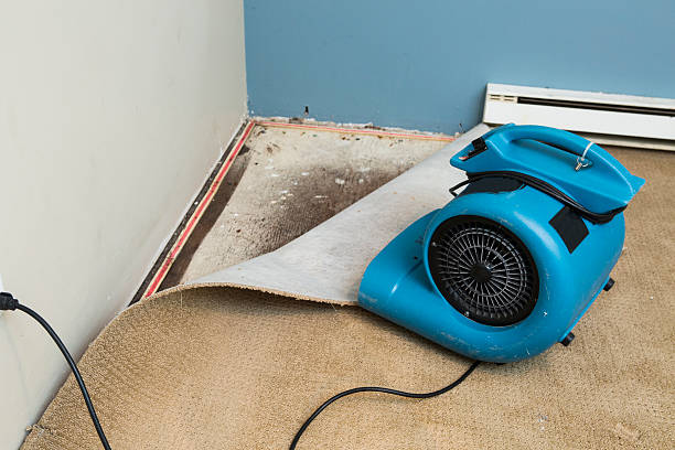 Best Fire Damage Restoration  in West Sacramento, CA